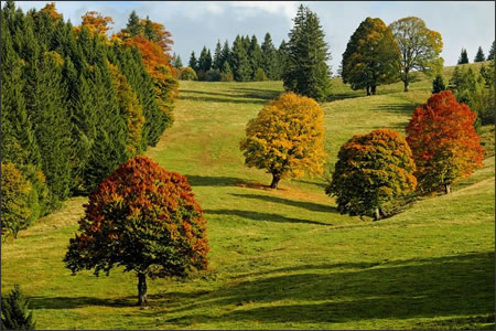 Can you get a sunburn in autumn?